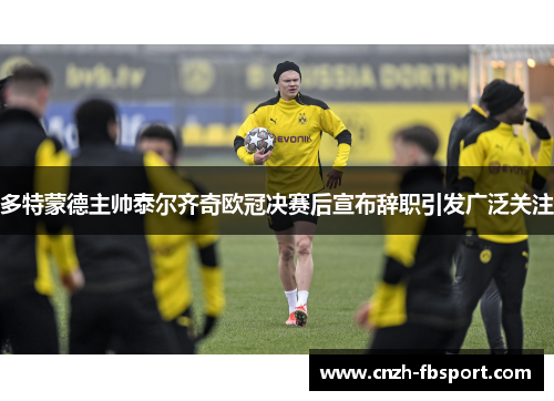 多特蒙德主帅泰尔齐奇欧冠决赛后宣布辞职引发广泛关注 多特蒙德主帅泰尔齐奇欧冠决赛后宣布辞职引发广泛关注